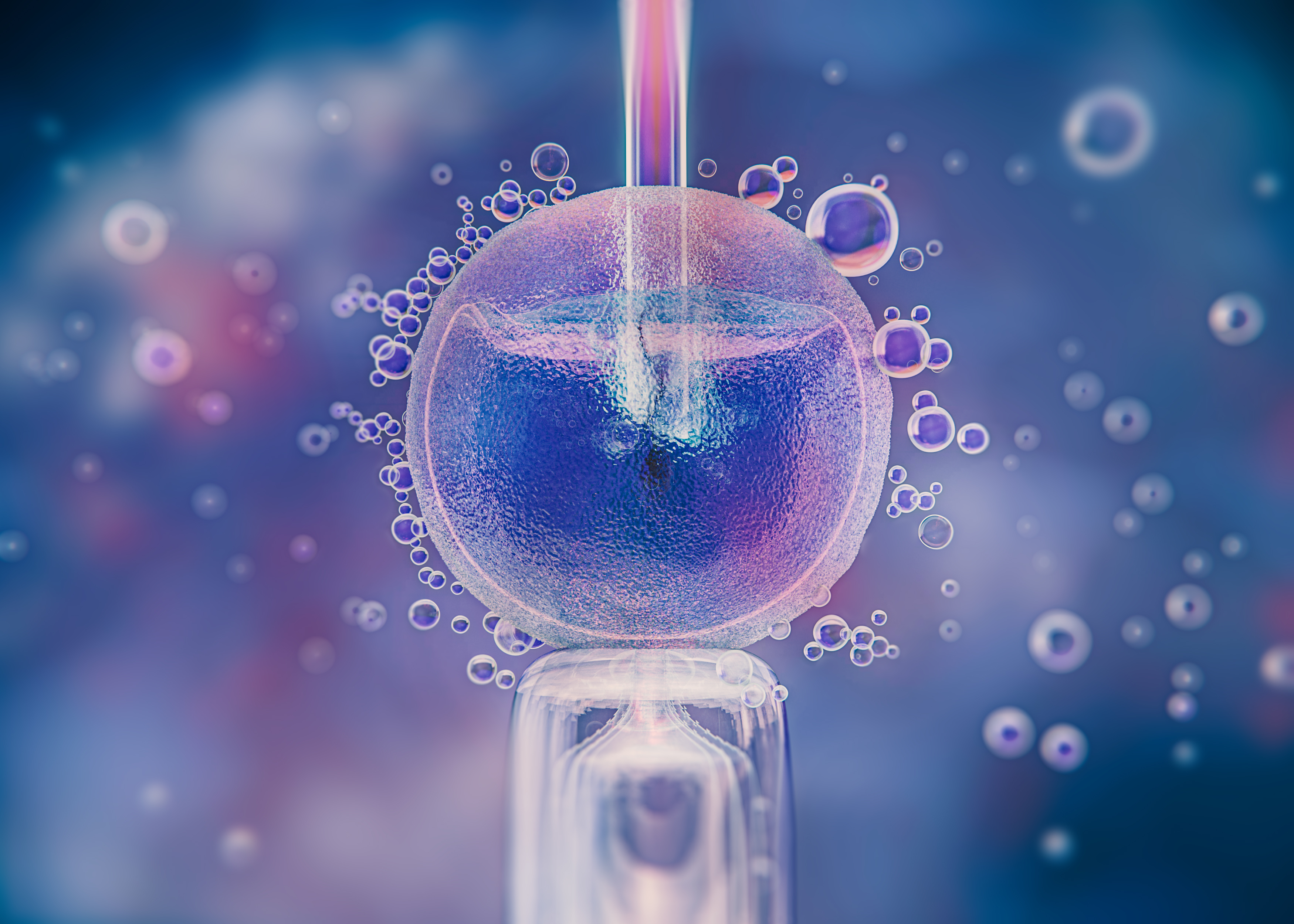IVF Tedavisinde Kök Hücre ve Eksozom Klinik Çalışmaları