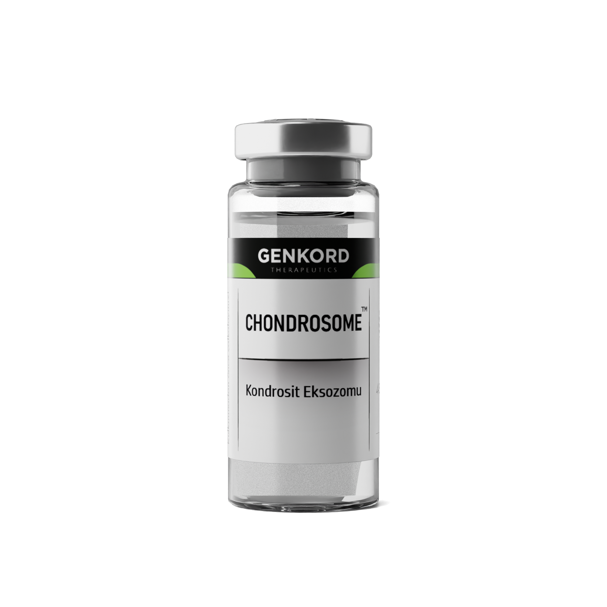 CHONDROSOME